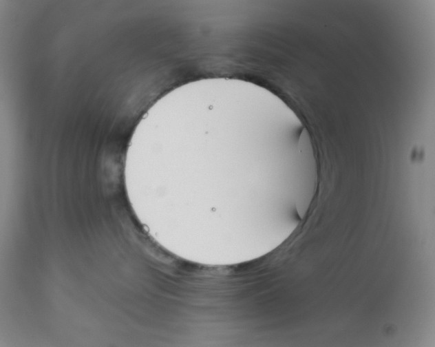 X0000112840576200909181716