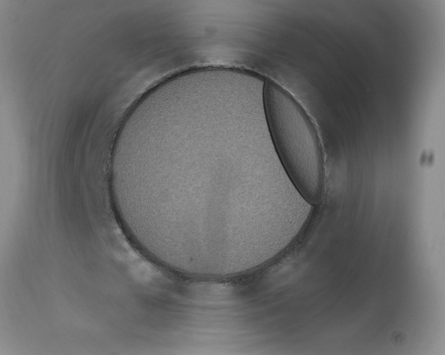 X0000112840577200909181715