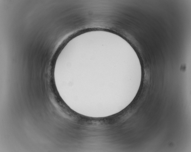 X0000112840580200909181715