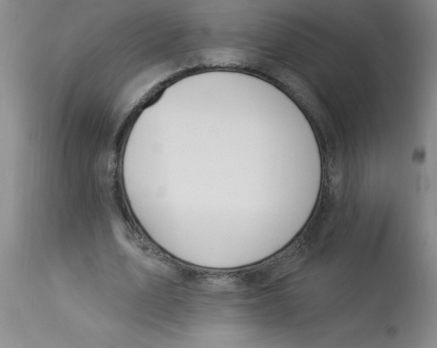 X0000112840583200909181715