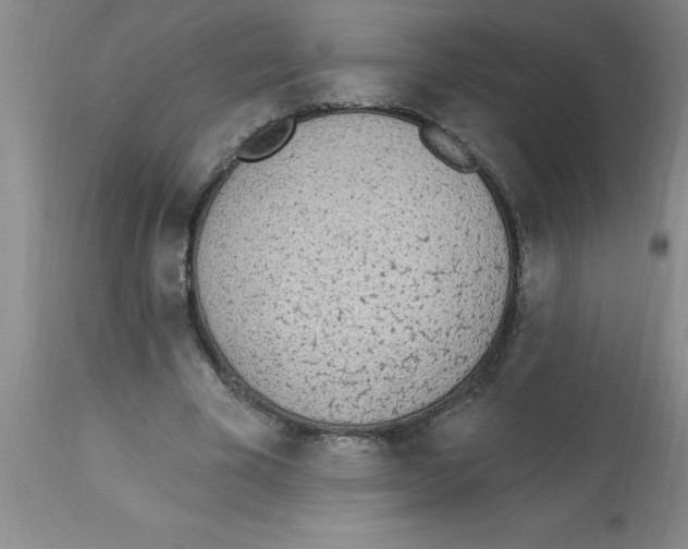 X0000112840585200909181715