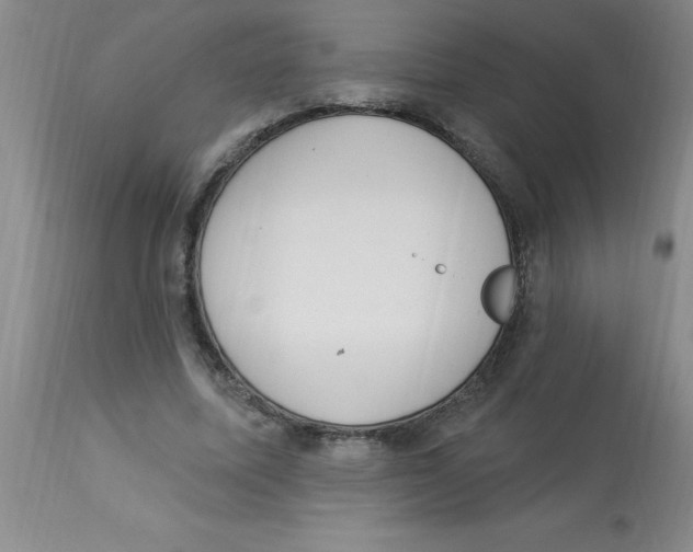 X0000112840587200909181715