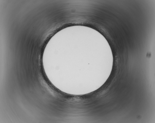 X0000112840589200909181715