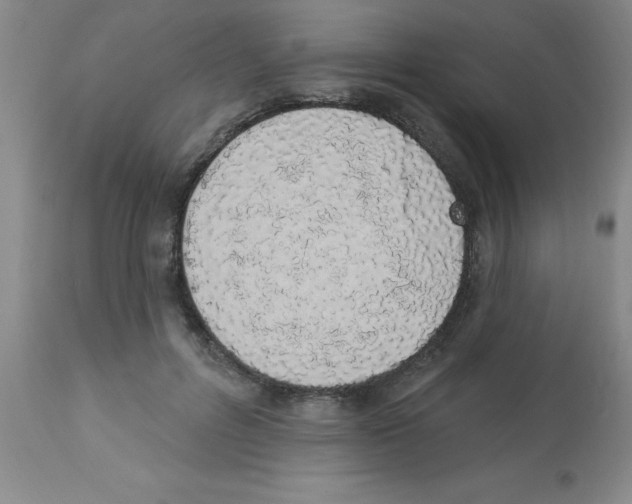 X0000112840600200909181715