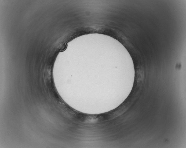 X0000112840613200909181714