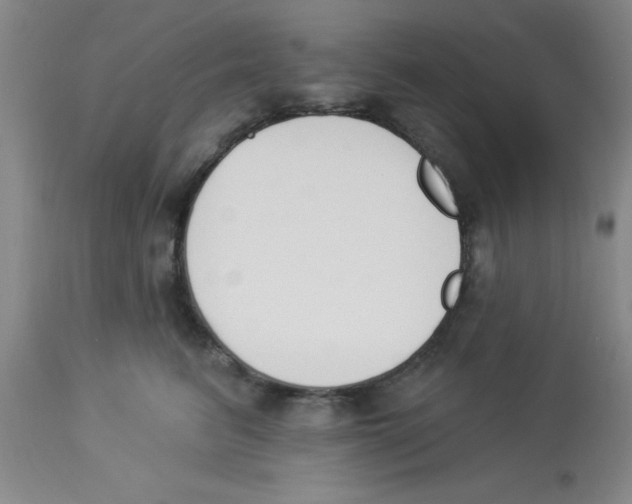 X0000112840615200909181714