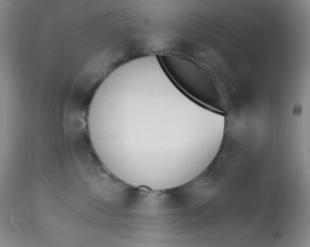 X0000112840621200909181714