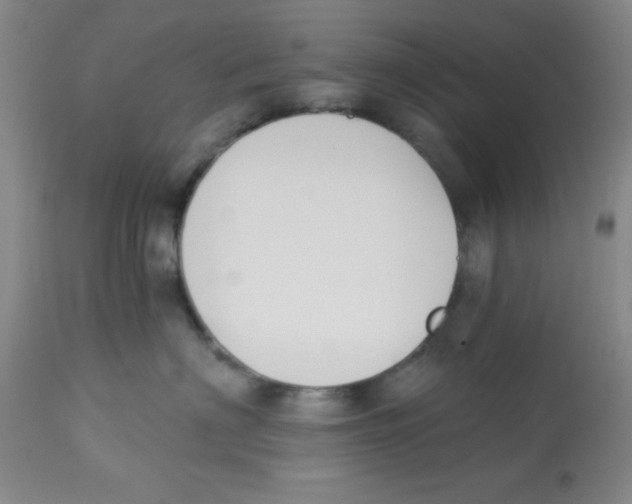 X0000112840622200909181714