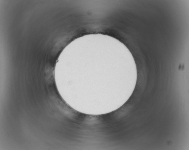 X0000112840624200909181714