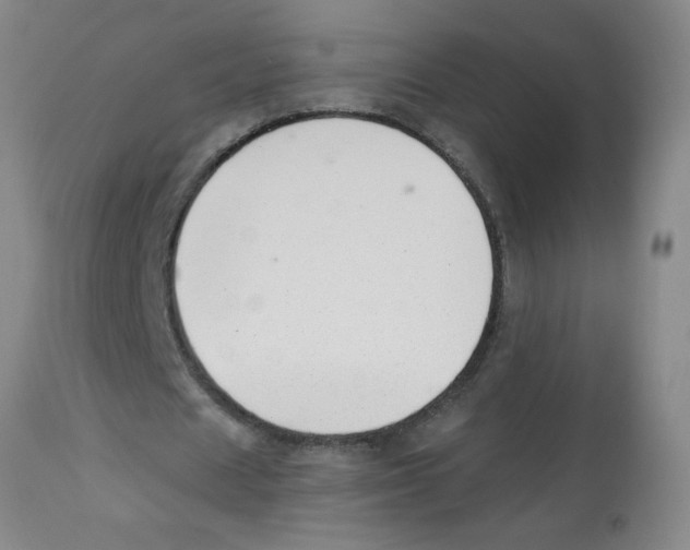 X0000112840625200909181713