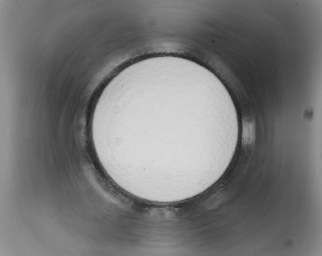 X0000112840627200909181713