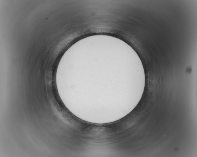 X0000112840631200909181713