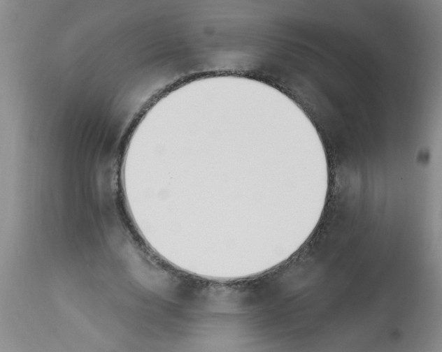 X0000112840632200909181713