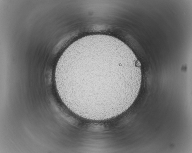 X0000112840640200909181714