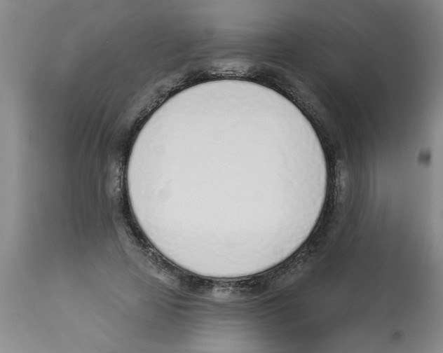 X0000112840641200909181714