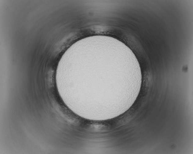 X0000112840650200909181714