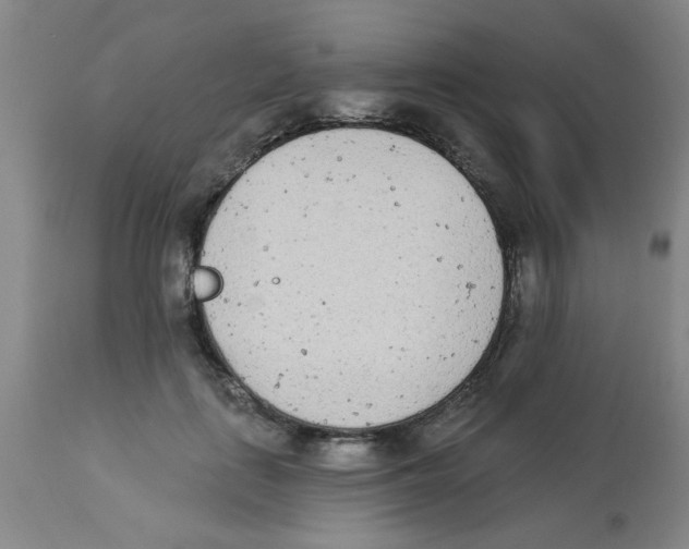 X0000112840651200909181714