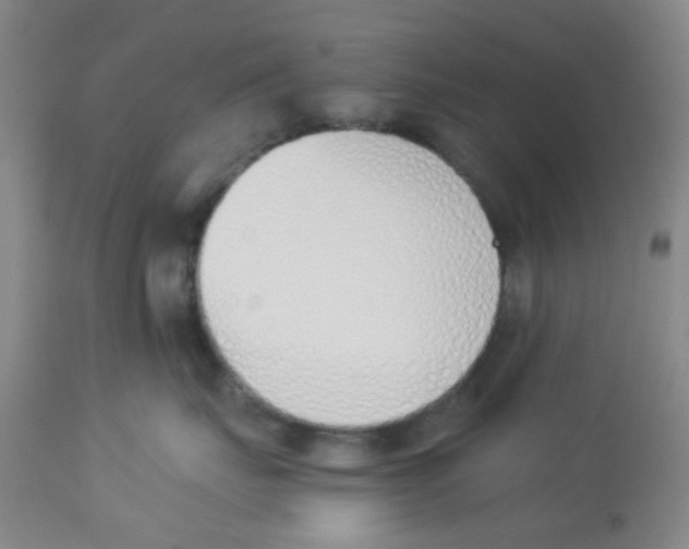 X0000112840671200909181714