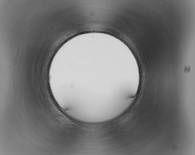 X0000112840673200909181713