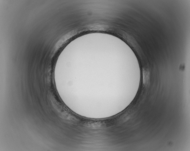 X0000112840675200909181713