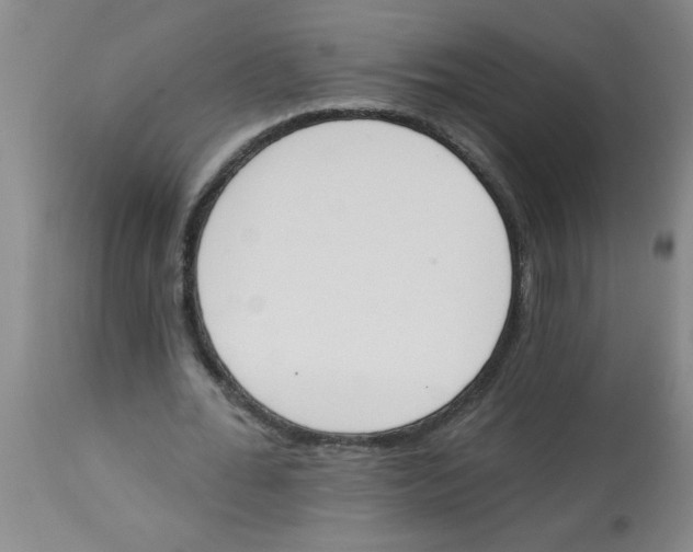 X0000112840676200909181713