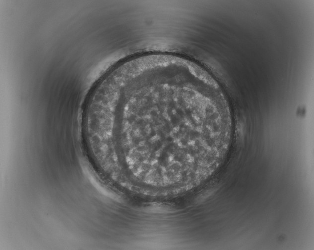 X0000112840678200909181713