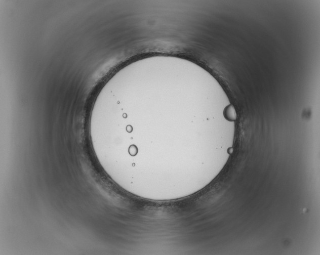 X0000112840679200909181713