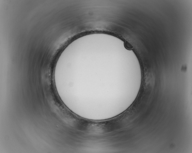 X0000112840680200909181713