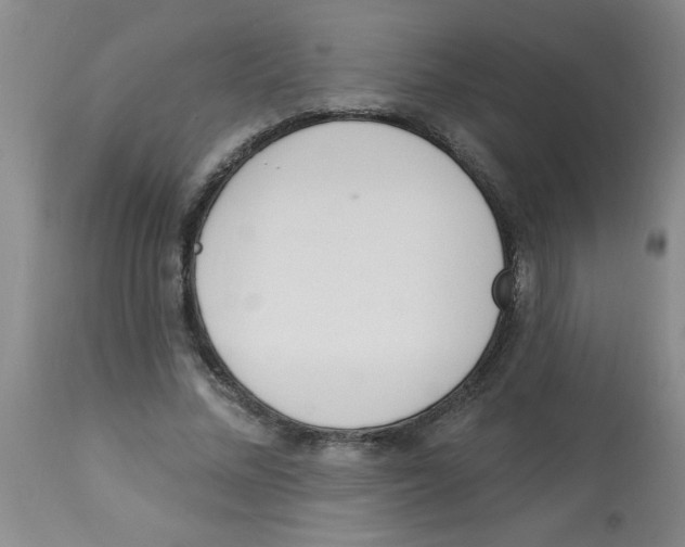 X0000112840684200909181713