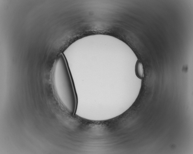 X0000112840689200909181713