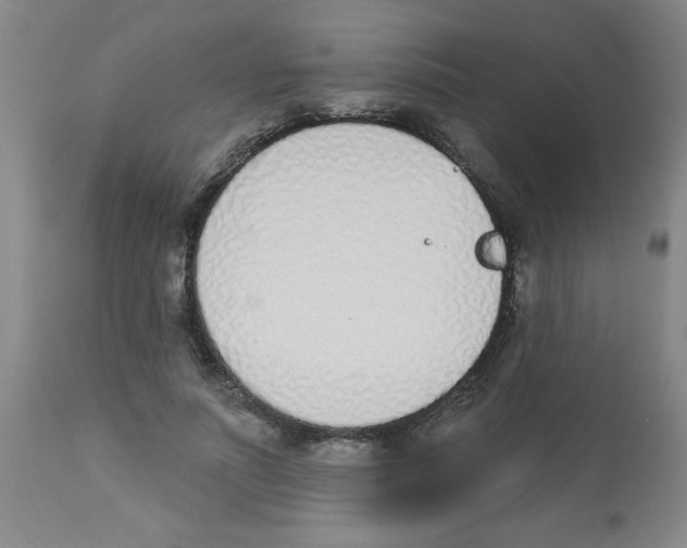 X0000112840691200909181713