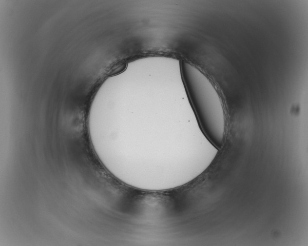 X0000112840708200909181713