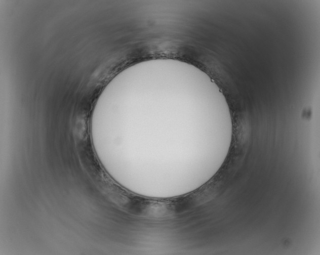 X0000112840709200909181713