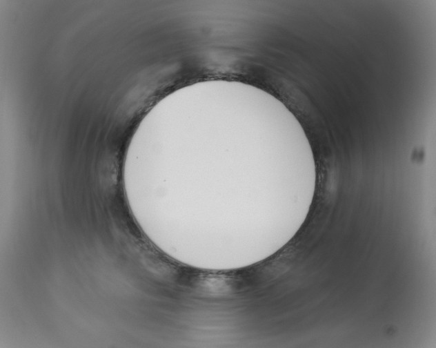 X0000112840710200909181713