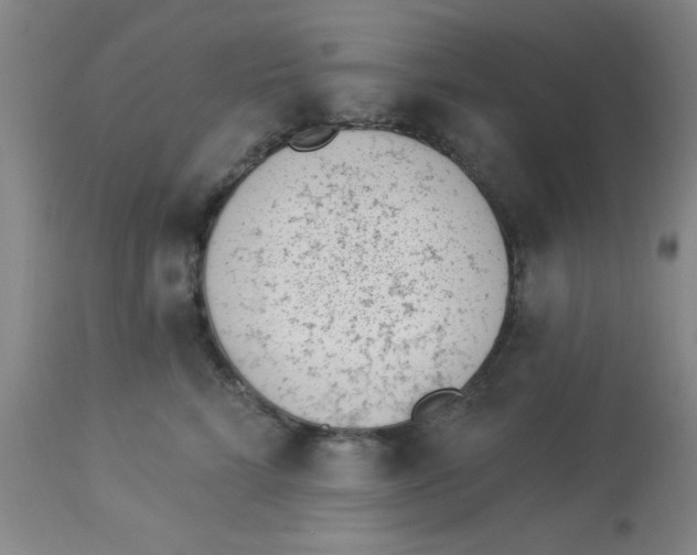 X0000112840712200909181713