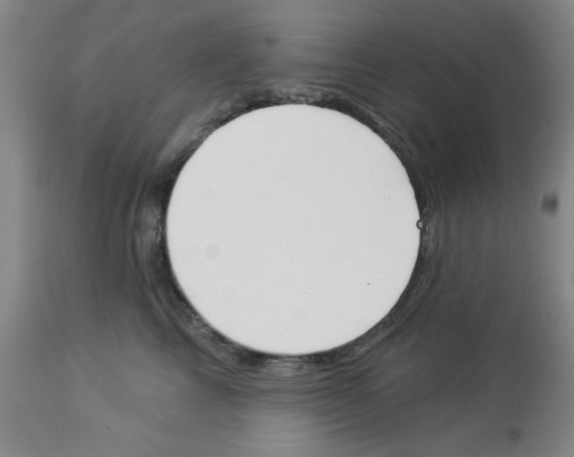 X0000112840713200909181712