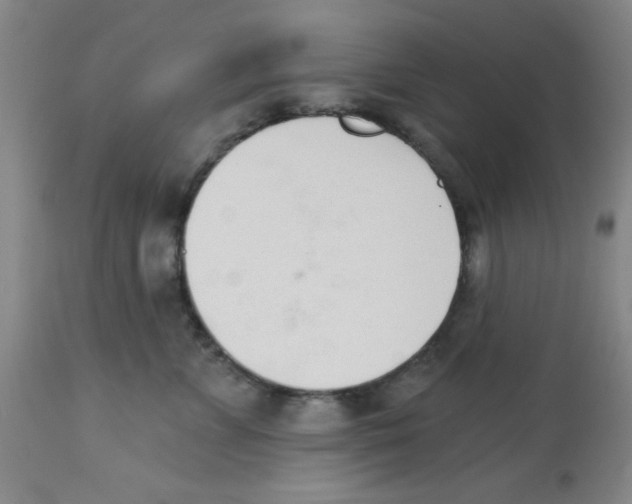 X0000112840715200909181712