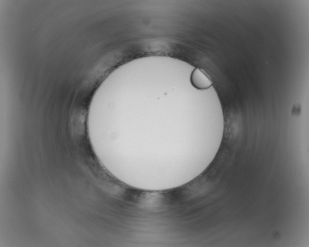 X0000112840717200909181712