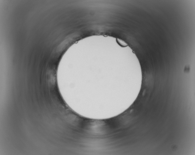 X0000112840719200909181712