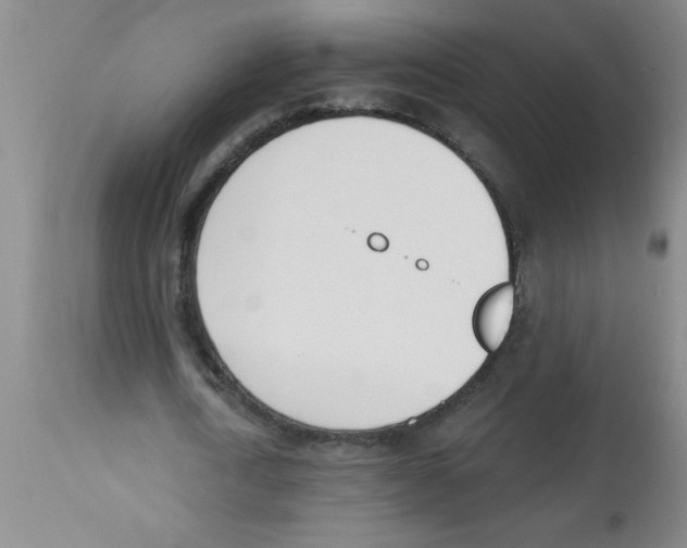 X0000112840722200909181712