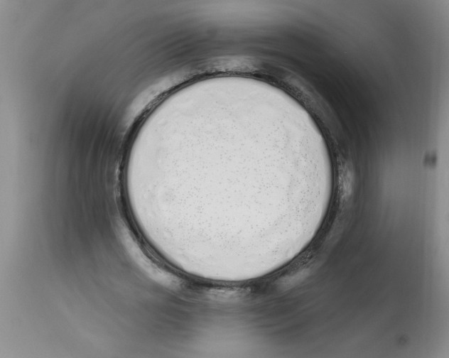 X0000112840725200909181712