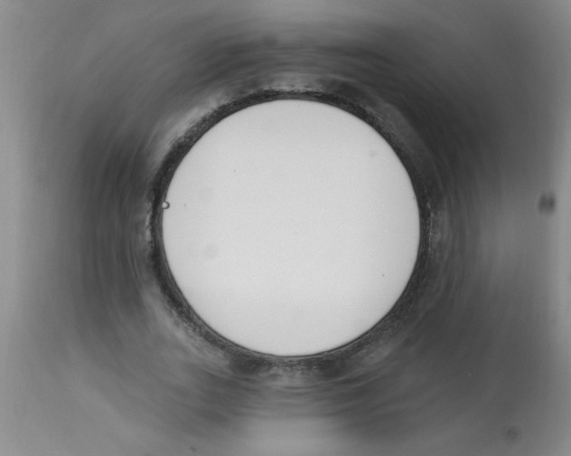 X0000112840727200909181712