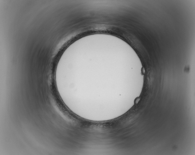 X0000112840728200909181712