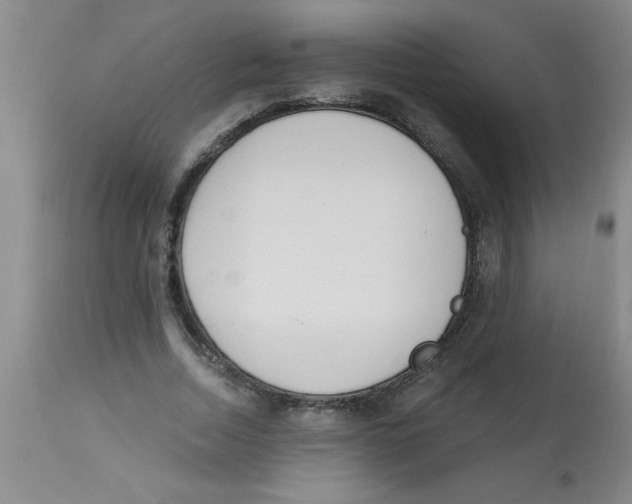 X0000112840730200909181712