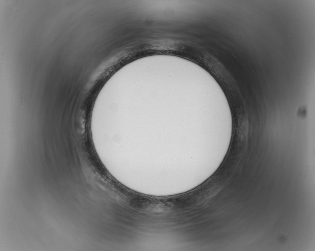 X0000112840731200909181712