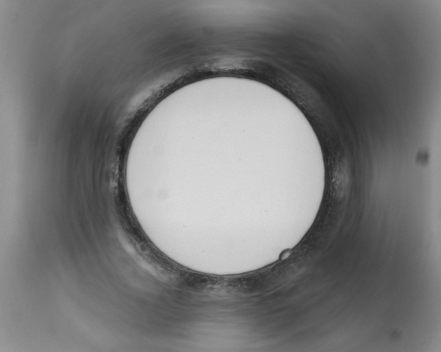 X0000112840732200909181712