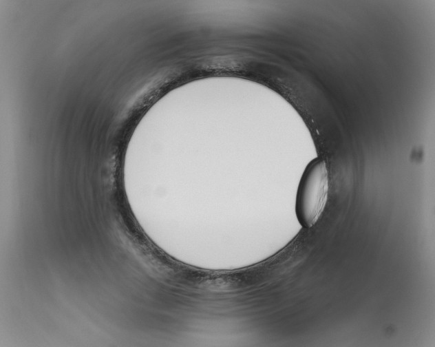 X0000112840735200909181712