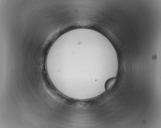 X0000112840736200909181712