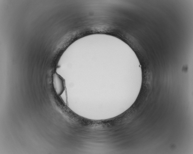 X0000112840738200909181712