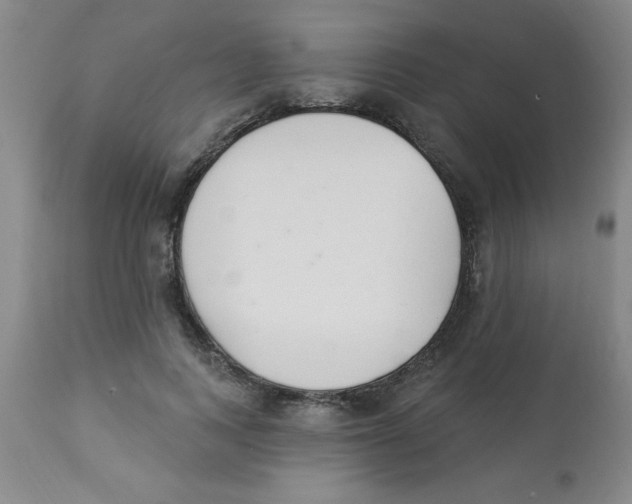 X0000112840743200909181712